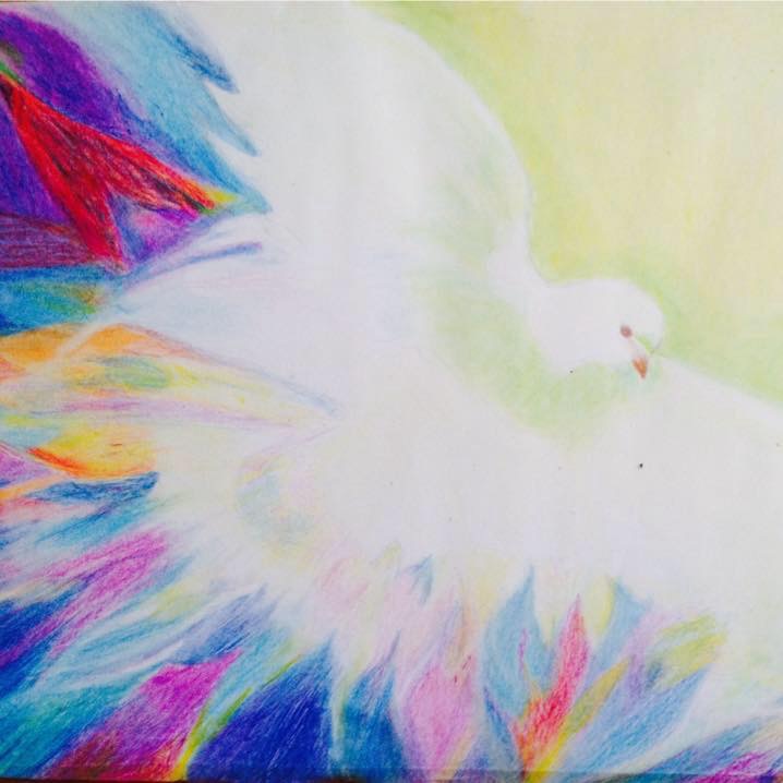 Witte duif met regenboog kleuren